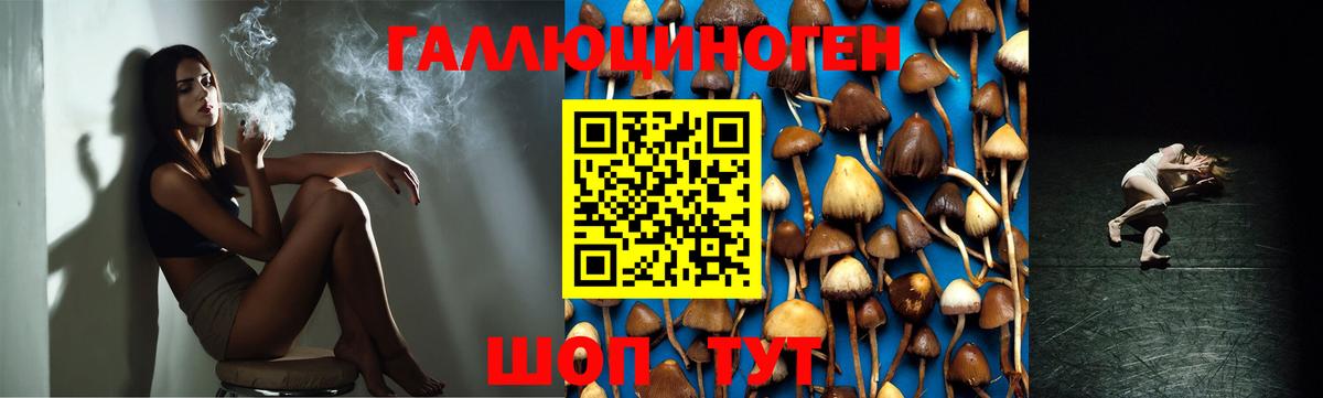 где найти наркотики  Вход с VPN  Джанкой  Псилоцибиновые грибы прущие грибы 